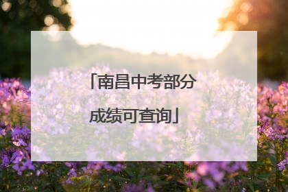 南昌中考部分成绩可查询