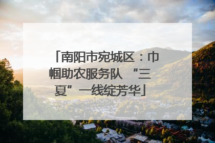 南阳市宛城区：巾帼助农服务队 “三夏”一线绽芳华