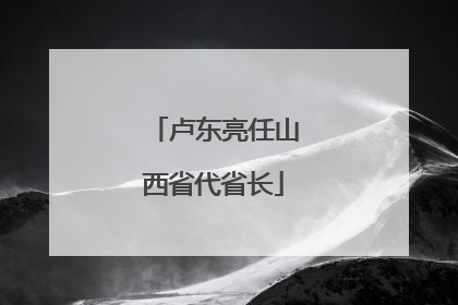 卢东亮任山西省代省长