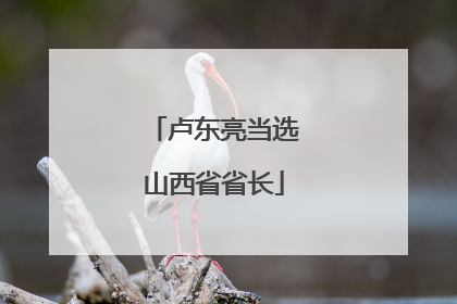 卢东亮当选山西省省长