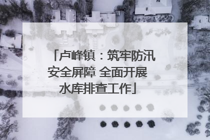 卢峰镇：筑牢防汛安全屏障 全面开展水库排查工作