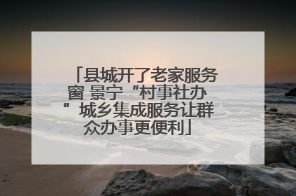 县城开了老家服务窗 景宁“村事社办”城乡集成服务让群众办事更便利