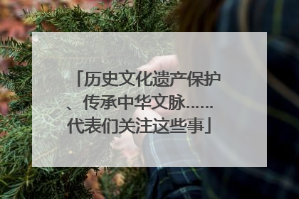 历史文化遗产保护、传承中华文脉……代表们关注这些事