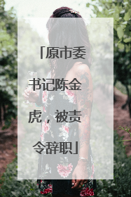 原市委书记陈金虎，被责令辞职