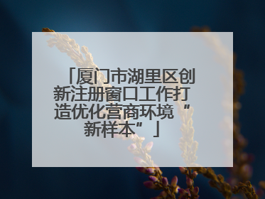 厦门市湖里区创新注册窗口工作打造优化营商环境“新样本”