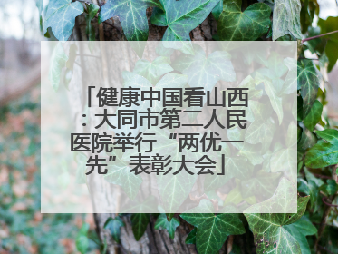 健康中国看山西：大同市第二人民医院举行“两优一先”表彰大会