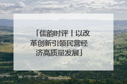 儒韵时评丨以改革创新引领民营经济高质量发展