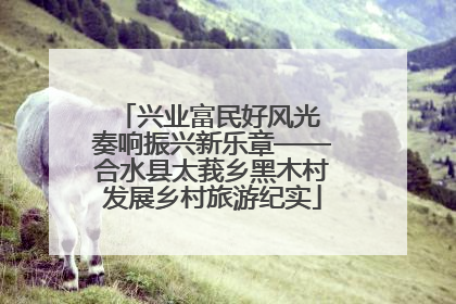 兴业富民好风光 奏响振兴新乐章——合水县太莪乡黑木村发展乡村旅游纪实