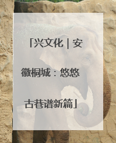 兴文化｜安徽桐城：悠悠古巷谱新篇