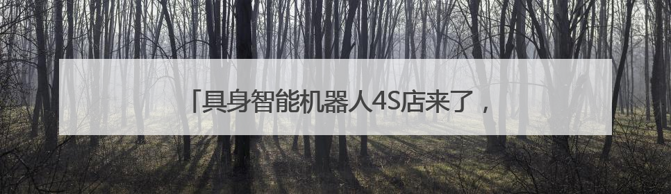 具身智能机器人4S店来了，未来能像买车一样买机器人？