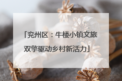 兖州区：牛楼小镇文旅双擎驱动乡村新活力