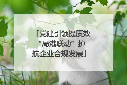 党建引领提质效 “局港联动”护航企业合规发展
