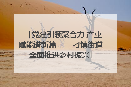 党建引领聚合力 产业赋能谱新篇——刁镇街道全面推进乡村振兴