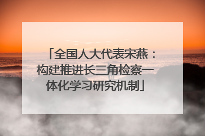 全国人大代表宋燕：构建推进长三角检察一体化学习研究机制