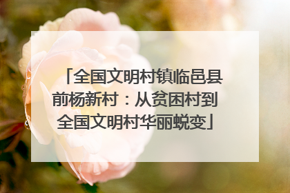 全国文明村镇临邑县前杨新村：从贫困村到全国文明村华丽蜕变