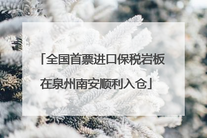 全国首票进口保税岩板在泉州南安顺利入仓