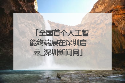 全国首个人工智能终端展在深圳启幕_深圳新闻网