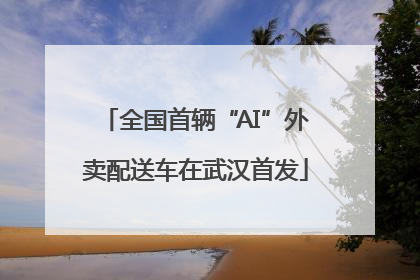 全国首辆“AI”外卖配送车在武汉首发