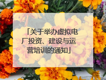 关于举办虚拟电厂投资、建设与运营培训的通知