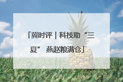 冀时评｜科技助“三夏” 燕赵粮满仓