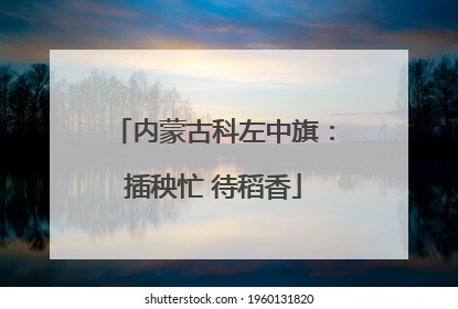 内蒙古科左中旗：插秧忙 待稻香