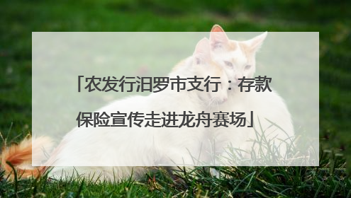 农发行汨罗市支行：存款保险宣传走进龙舟赛场