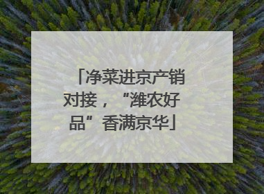 净菜进京产销对接，“潍农好品”香满京华