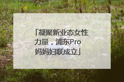 凝聚新业态女性力量，浦东Pro妈妈妇联成立