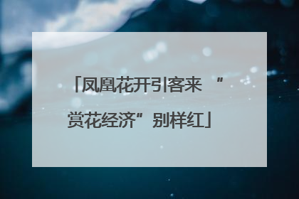 凤凰花开引客来 “赏花经济”别样红