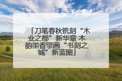 刀笔春秋镌刻“木业之都”新华章 木韵墨香擘画“书刻之城”新蓝图