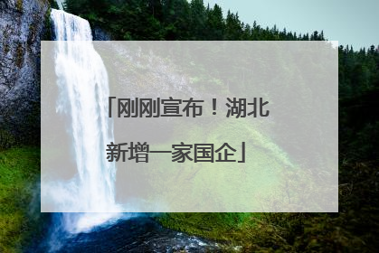 刚刚宣布！湖北新增一家国企