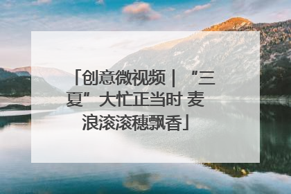 创意微视频｜“三夏”大忙正当时 麦浪滚滚穗飘香