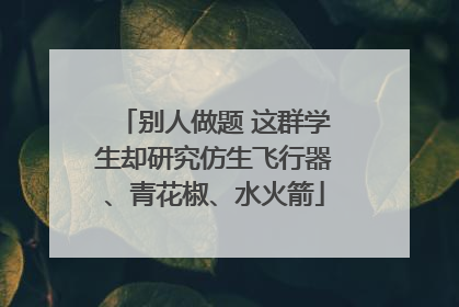 别人做题 这群学生却研究仿生飞行器、青花椒、水火箭