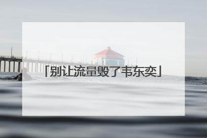 别让流量毁了韦东奕