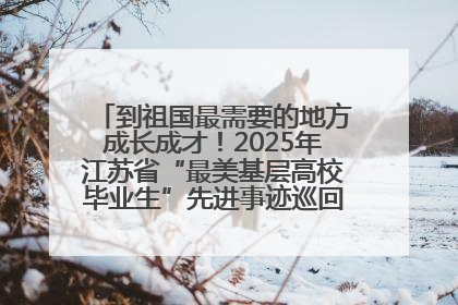 到祖国最需要的地方成长成才！2025年江苏省“最美基层高校毕业生”先进事迹巡回宣讲会在宁启动