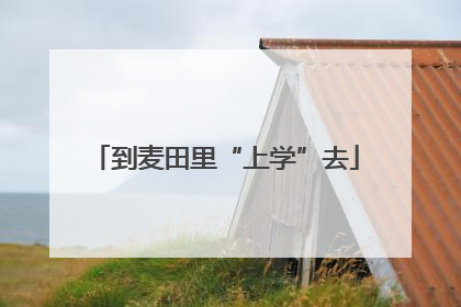 到麦田里“上学”去