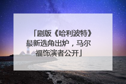 剧版《哈利波特》最新选角出炉，马尔福饰演者公开