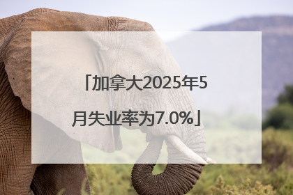 加拿大2025年5月失业率为7.0%