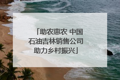 助农惠农 中国石油吉林销售公司助力乡村振兴