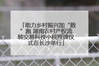 助力乡村振兴加“数”跑 湖南农村产权流转交易科技小院授牌仪式在长沙举行