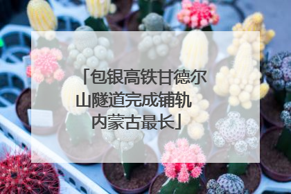 包银高铁甘德尔山隧道完成铺轨 内蒙古最长