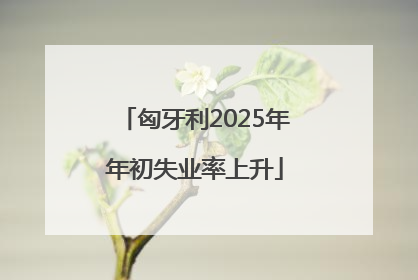 匈牙利2025年年初失业率上升