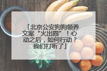 北京公安狗狗领养文案“火出圈”！心动之后，如何行动？我们打听了
