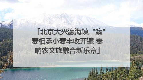 北京大兴瀛海镇“瀛”麦相承小麦丰收开镰 奏响农文旅融合新乐章