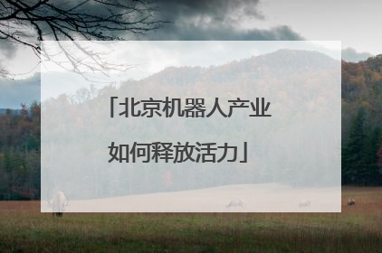 北京机器人产业如何释放活力