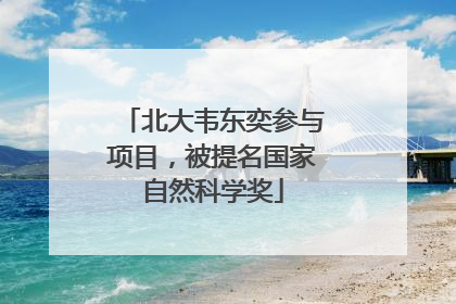 北大韦东奕参与项目，被提名国家自然科学奖