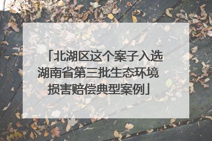 北湖区这个案子入选湖南省第三批生态环境损害赔偿典型案例