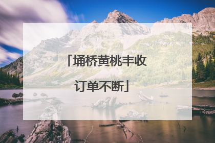 埇桥黄桃丰收 订单不断