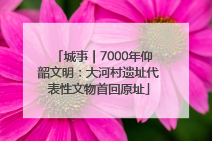 城事｜7000年仰韶文明：大河村遗址代表性文物首回原址