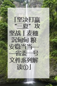 坚决打赢“三夏”攻坚战丨麦穗沉甸甸 粮安稳当当——省委一号文件系列解读①